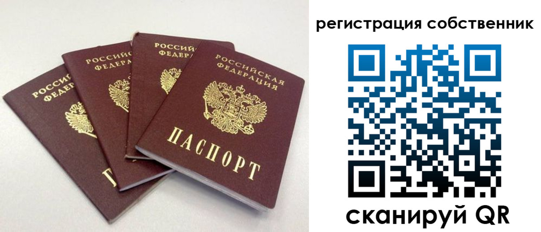 прописка для школы в Купино